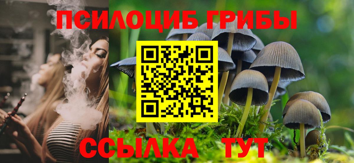 Урай  Галлюциногенные грибы Cubensis  Вход с VPN 