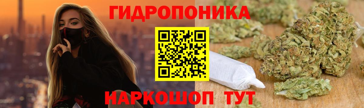Конопля ГИДРОПОН  Марихуана VHQ  Урай  Вход с VPN  Конопля Bruce Banner 